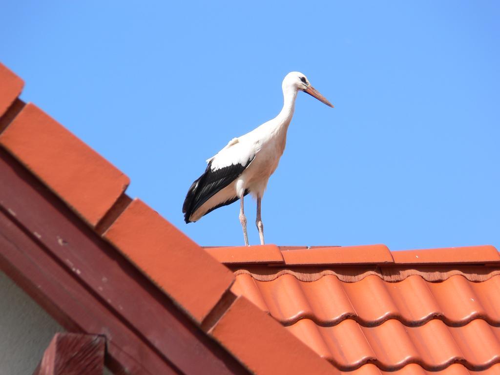 Kalski Dworek *